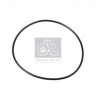 DT 1.10217 Seal Ring